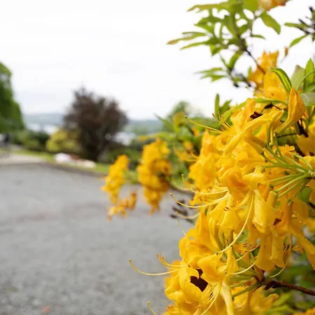 Belle Grange * Bowness-on-Windermere